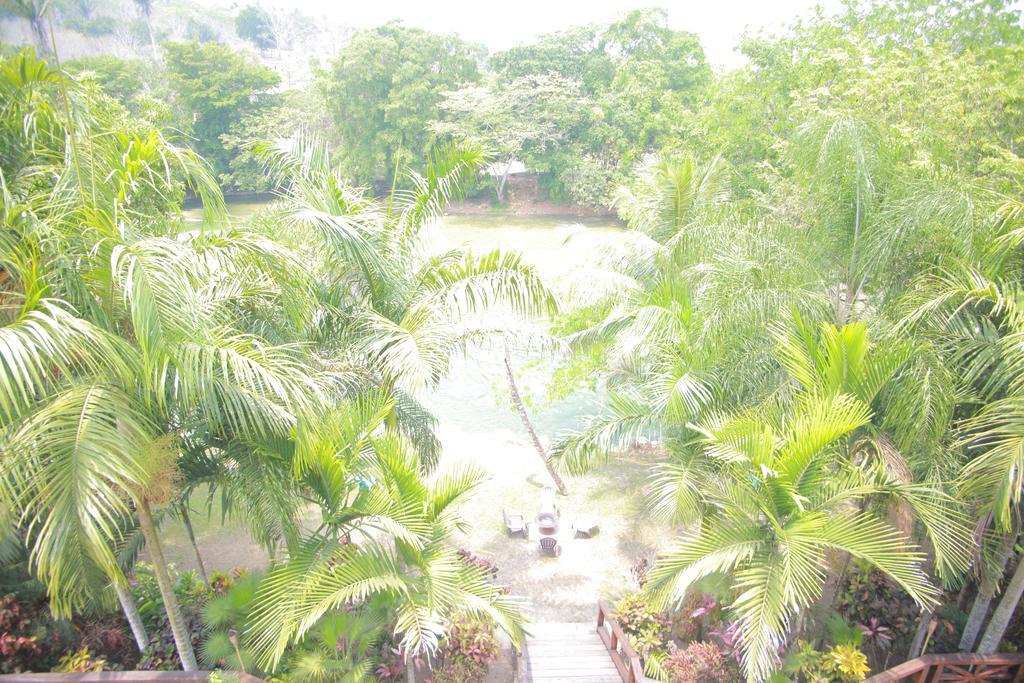 Mahogany Hall Luxury Boutique Resort San Ignacio Exterior foto
